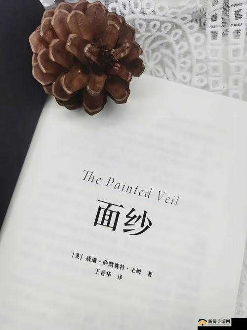 女人ⅹ乄 55000：关于她的故事与特别之处的探讨