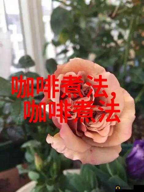 岳故意装睡让我挺进去观看：一场令人震惊的性侵犯
