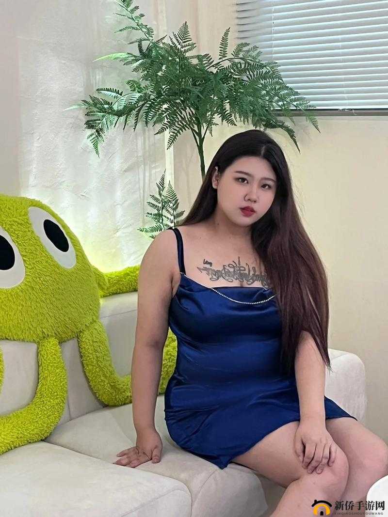 大码女孩的幸福生活：BBWHDBBW 的多彩世界