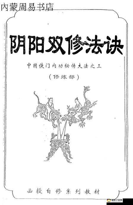 双修三十六阴阳技图之古老神秘功法的深度剖析与探究