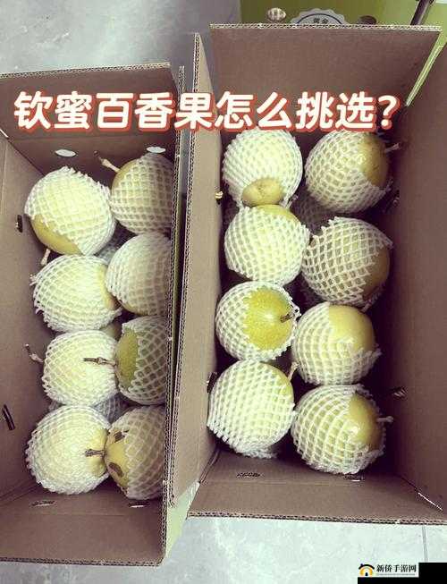 百香果籽的奇妙生长旅程，从采集到播种的全方位实用指南