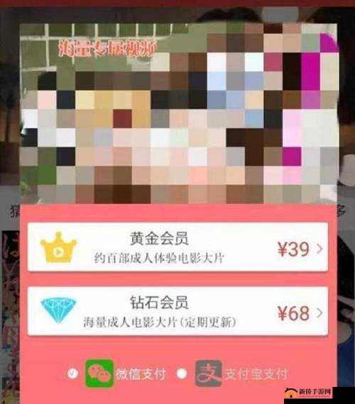 成品人网站 W灬源码 1688 在线：探索成人世界的奥秘