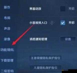 王者荣耀游戏账号隐身登陆功能的设置步骤与管理指南