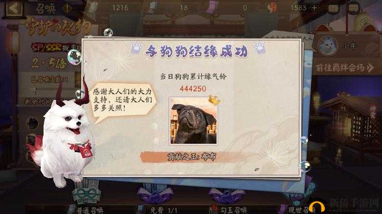 阴阳师游戏内流浪小猫出没地点及庭院小动物互动玩法全面深度揭秘