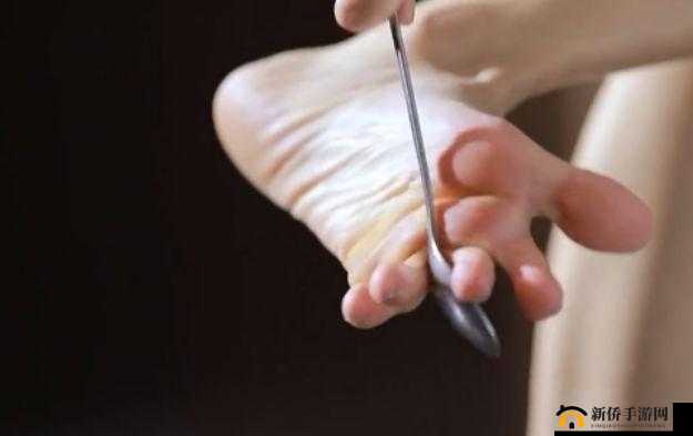 黑土腿法娴熟脚法精湛视频教学：详细解读与分步演示教程