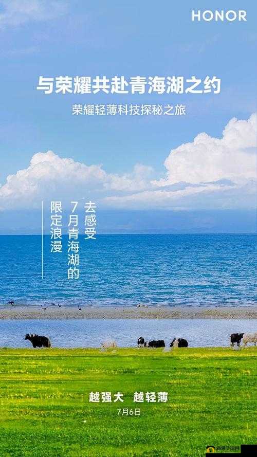 探秘天堂荣耀，踏上追寻荣耀与梦想交织的壮阔史诗之旅