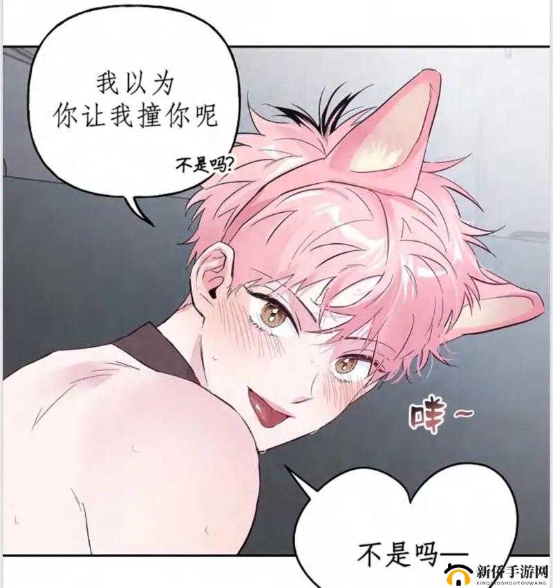 男男一起相嗟嗟嗟：共同成长进步的真挚情谊故事