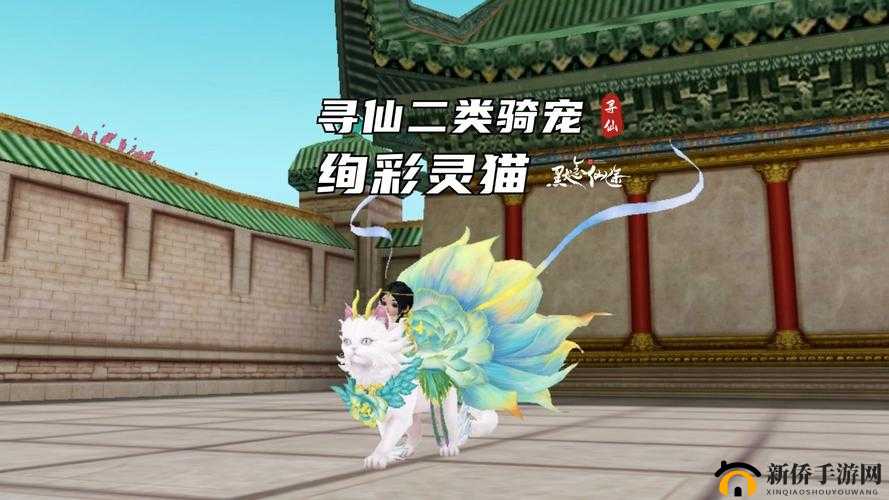 寻仙之旅，探索奇幻世界，坐骑选择与冒险经历的完美融合