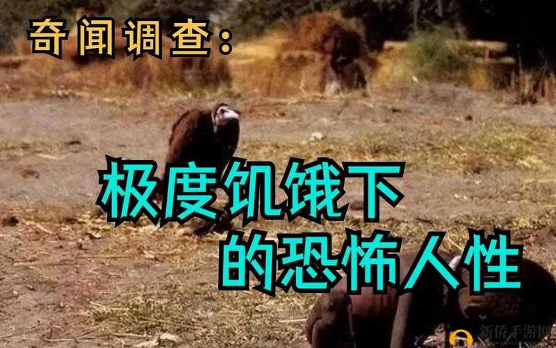 饥饿的阿？5：一场关于人性的深度探索