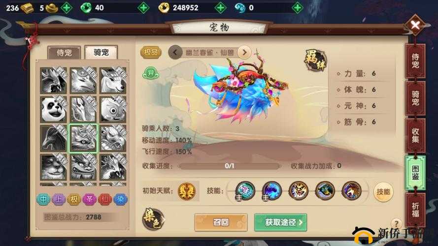 寻仙手游高效传功技巧与详细方法介绍，助你快速提升实力
