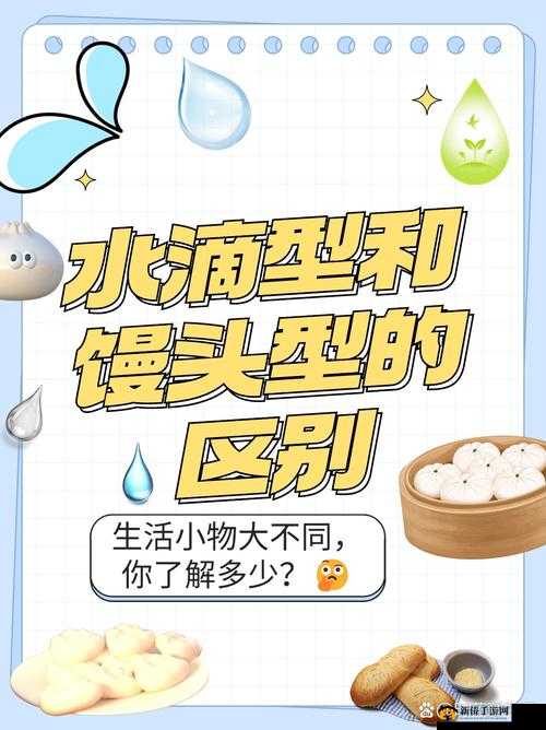 水滴型和馒头型的区别：形状特征与不同应用场景探讨