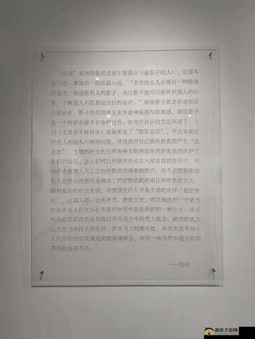暗网呦呦：探寻其神秘面纱背后的未知世界