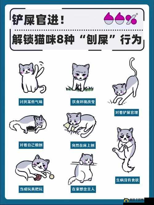 小猫咪大城市日常美容动作怎么获得：在都市中呵护猫咪的美丽秘诀