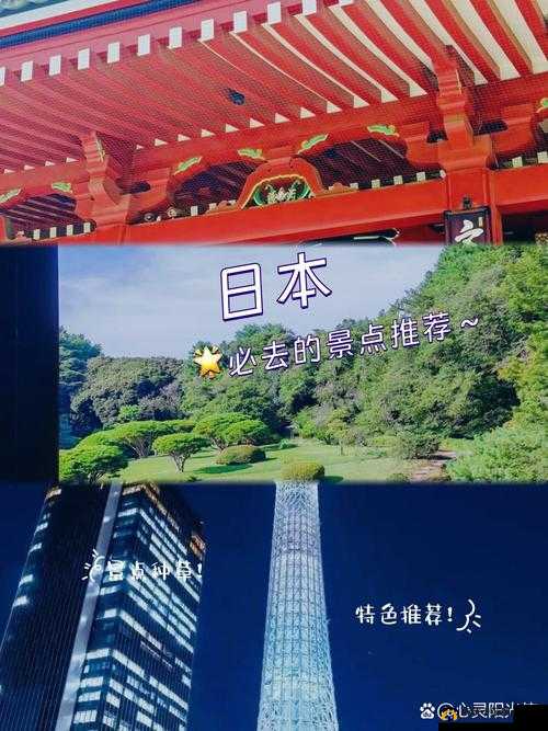 琪琪色青青草东京热：独特视角下的别样风情探索