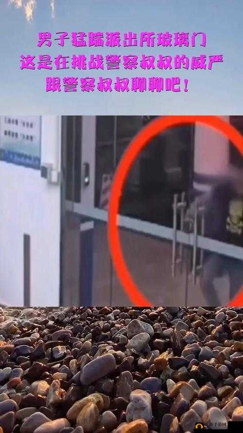 张警官撞玻璃视频大全：各种搞笑有趣的撞玻璃瞬间集锦