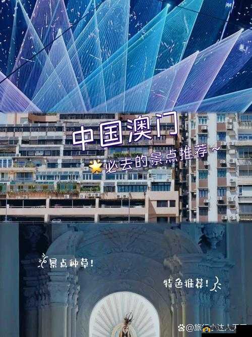 日欧一品之道：探索品质卓越与文化交融的奥秘之旅