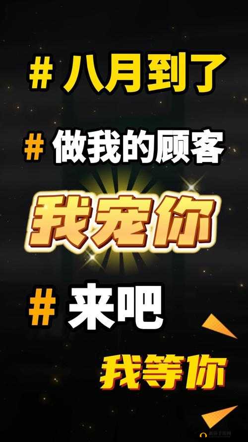高清码免费下载：超多资源等你来获取