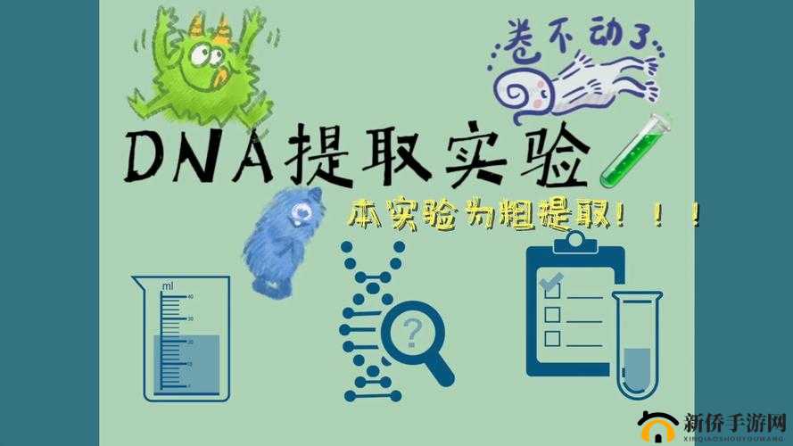 河北ssis-440 的提取密码：关于其背后意义与相关探讨