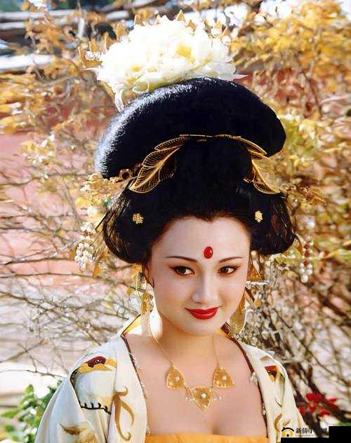 大唐美女杨贵妃三是谁演的之演员大揭秘
