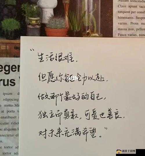 我们 2018 最好看中文：这些文字为何能打动人心