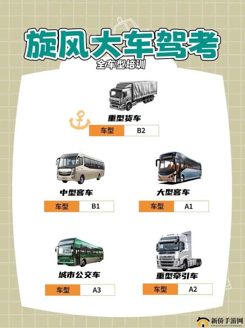 国产 A1a2a317c：关于它的详细介绍与独特之处探讨