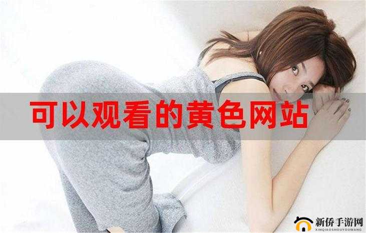 免费网站在线观看人数在哪里：探寻网站流量的秘密
