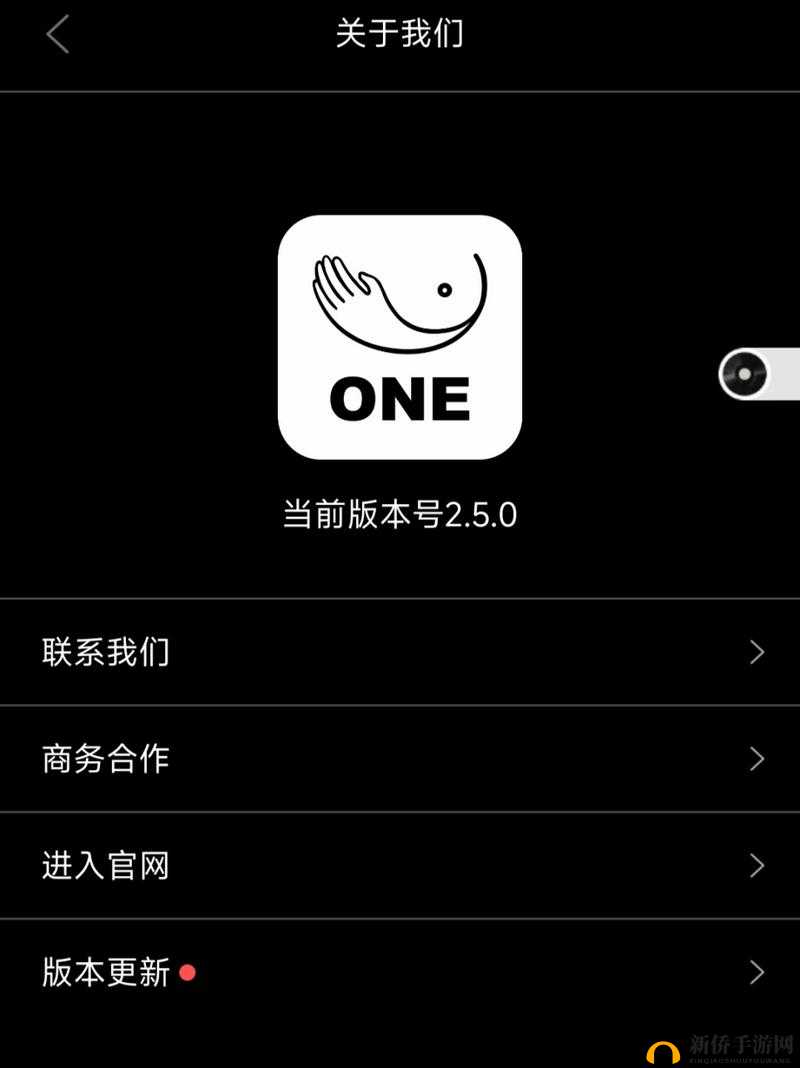 one.yg99.aqqv2.2.7 一个致敬韩寒：深度解析其背后的意义与价值