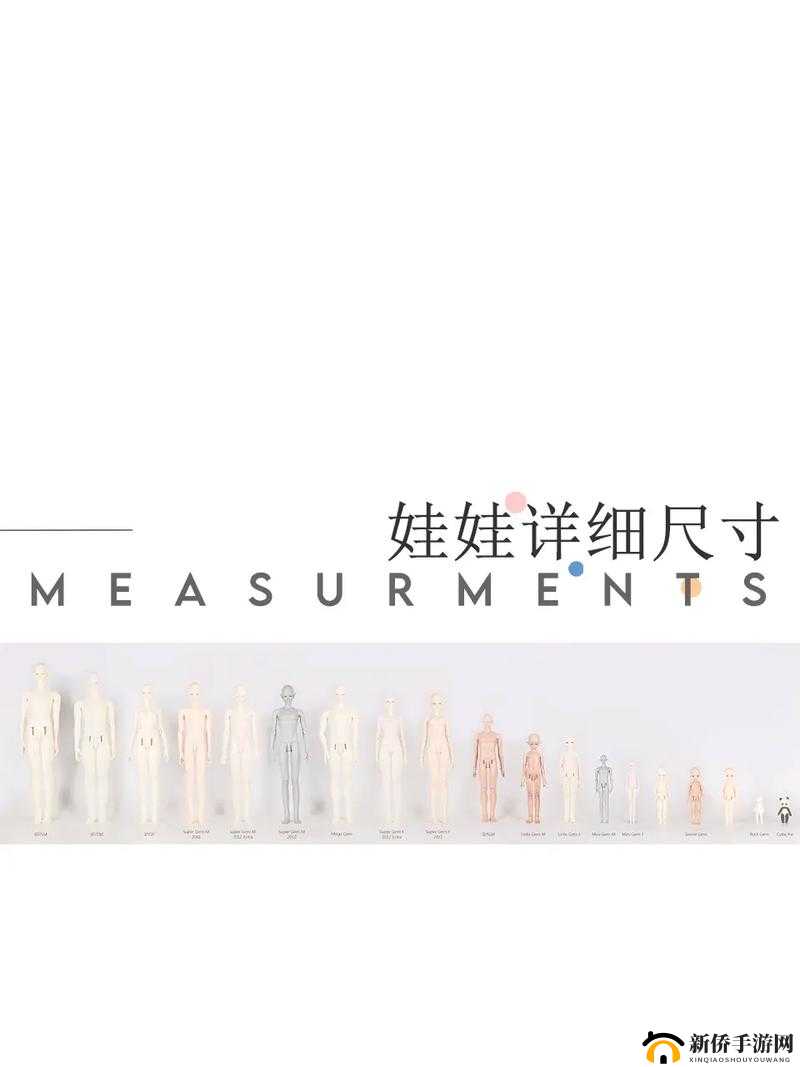 八寸的娃娃有多大：详细解析其尺寸与实际观感