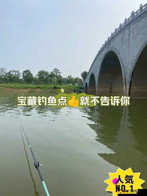 天下手游钓鱼奇遇全攻略，雷钻宝藏获取与高效钓鱼技巧大揭秘