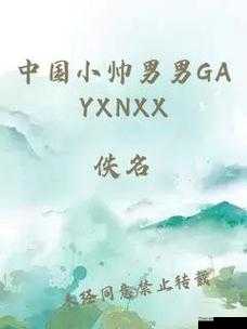 gary 中国小帅 GayXNXX 引发的独特现象探讨