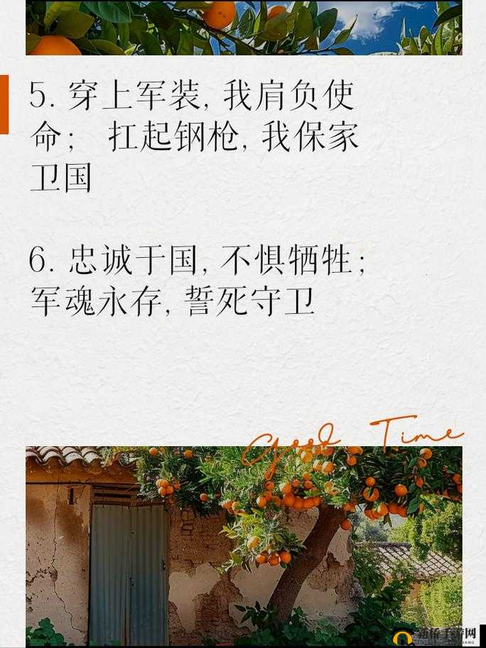 儿挺钢枪一起来，今天我十八岁，热血青春，激情飞扬