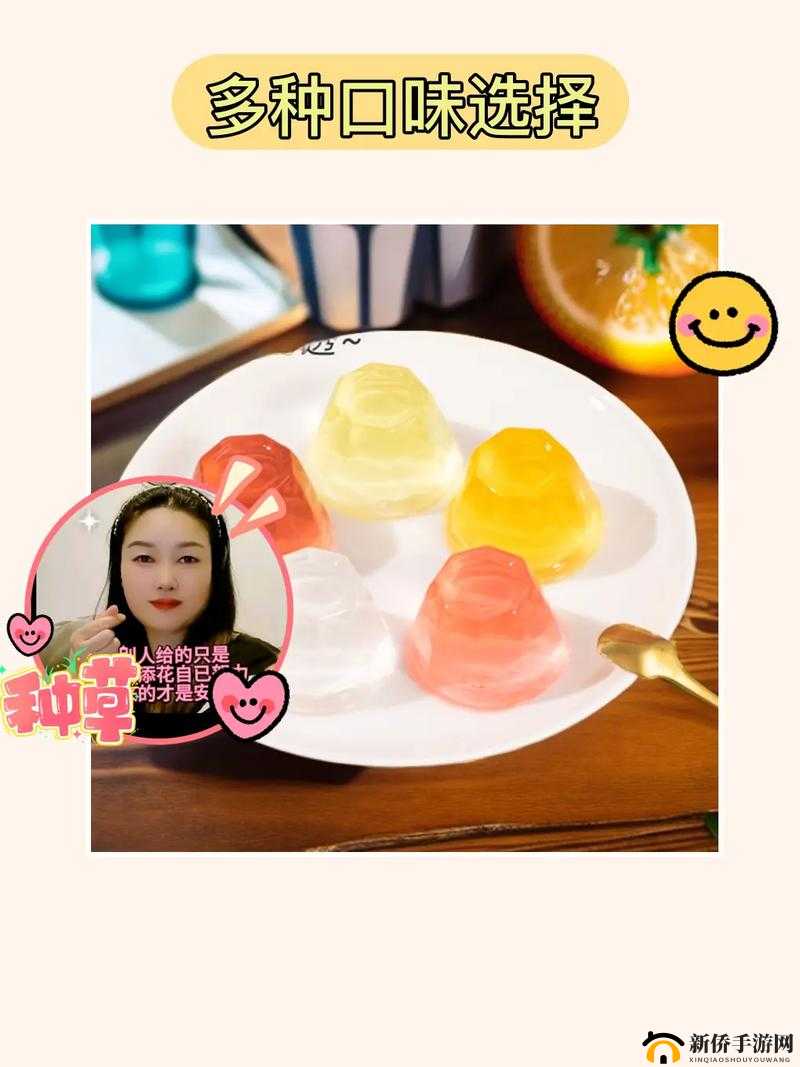 9i 果冻制作厂：传承经典，打造美味果冻