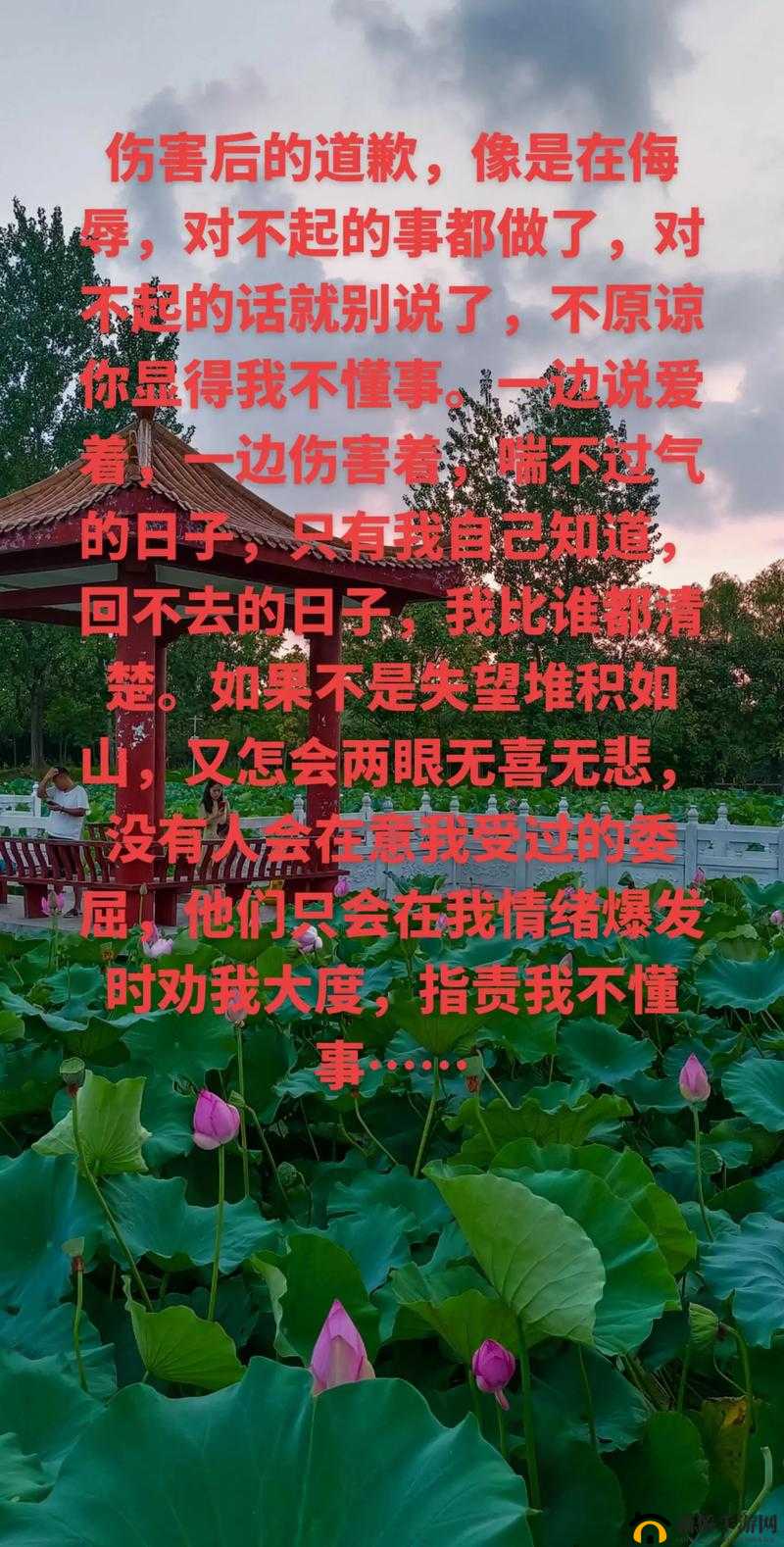 对不起原谅我的对公：真心诚意祈求您的宽宏大量