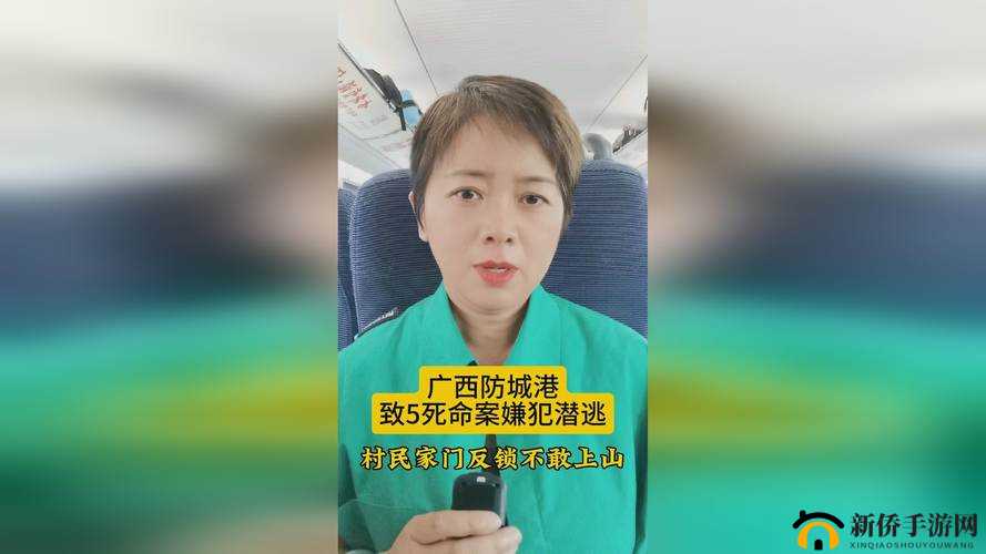 91 精产国品一二三产区蜜臀：成人领域的精彩之作