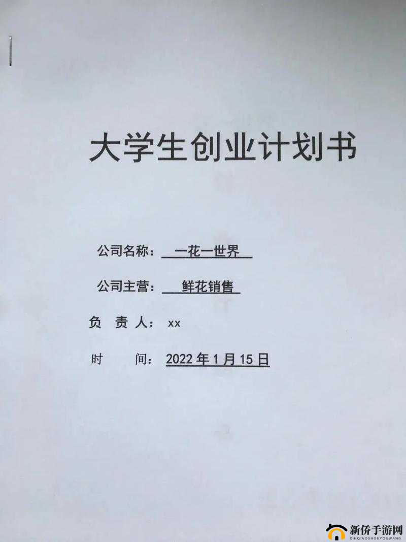 创新创业项目计划书：探索商业新机遇的行动指南
