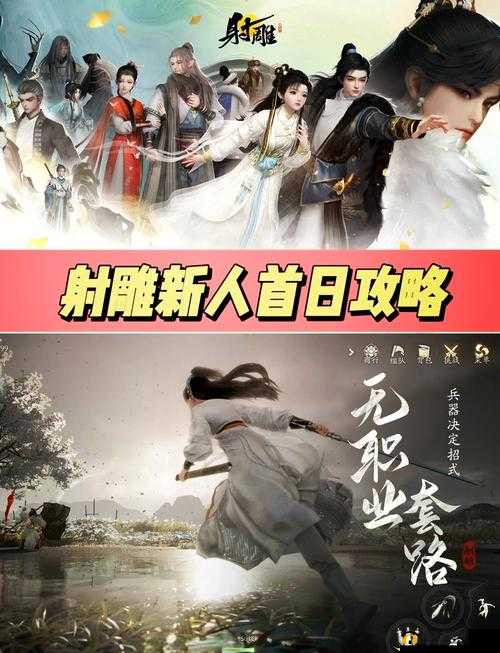 射雕英雄传手游深度解析，比武招亲玩法与资源管理艺术的全面揭秘