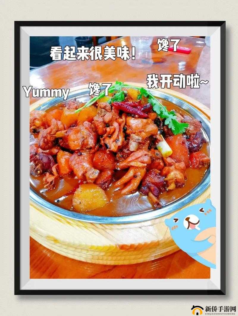 大盘鸡大菠萝的百度百科：详细解读其背后的奥秘