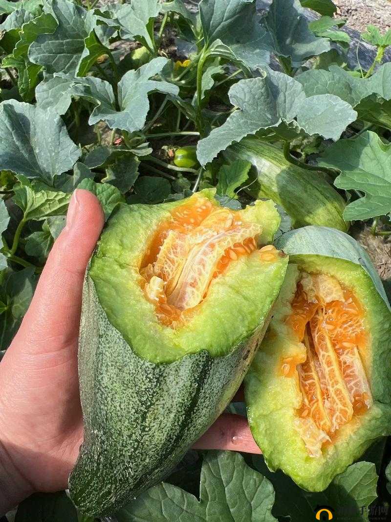 51 热门大瓜今日大瓜最新：最新热点资讯，一网打尽