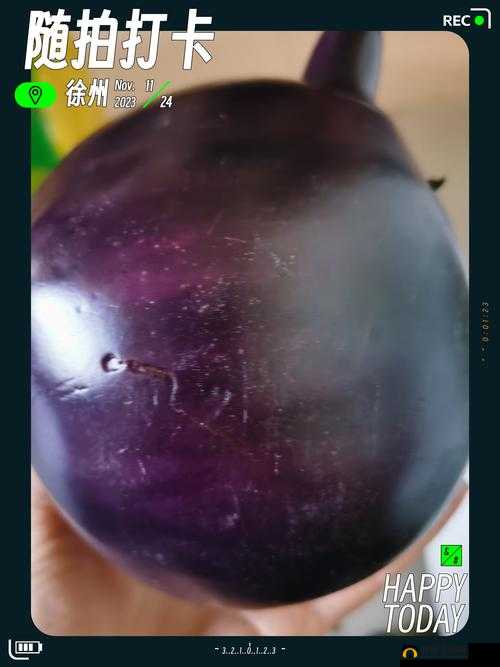 茄子直播：精彩内容持续不断等你来发现
