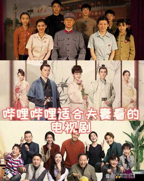 适合夫妻观看的哔哩哔哩电视剧推荐：提升情感交流的优质选择