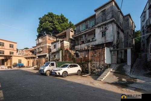 曹留社区 2019 最新地址一：探寻社区精彩与便捷