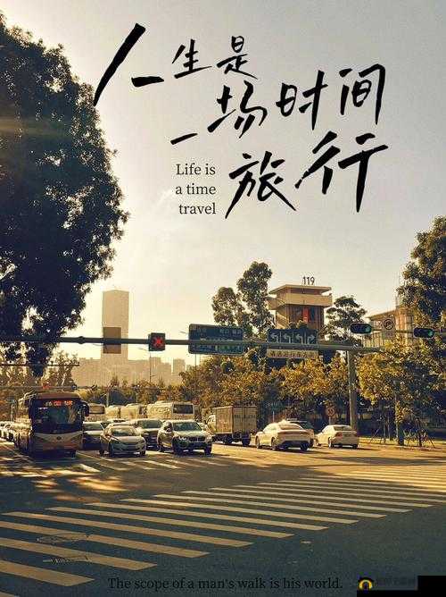 两个人夜晚在车上：畅享私密时光的多样可能