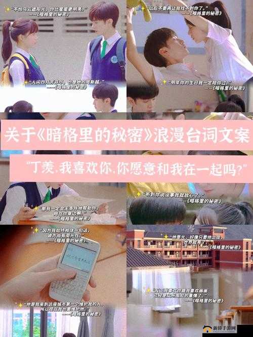老公亲我的小花园最火的一句：探寻背后的浪漫秘密