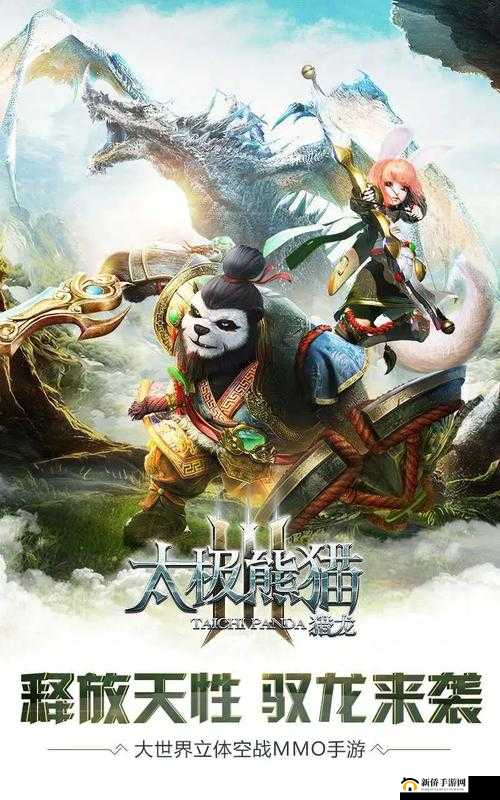 太极熊猫3猎龙游戏攻略，断岩石副本深度解析与实战技巧详解