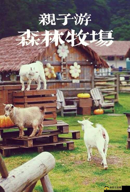 探秘ZOOMSERVO 兽狗牧场迎来美女新人：开启一段特别的故事之旅