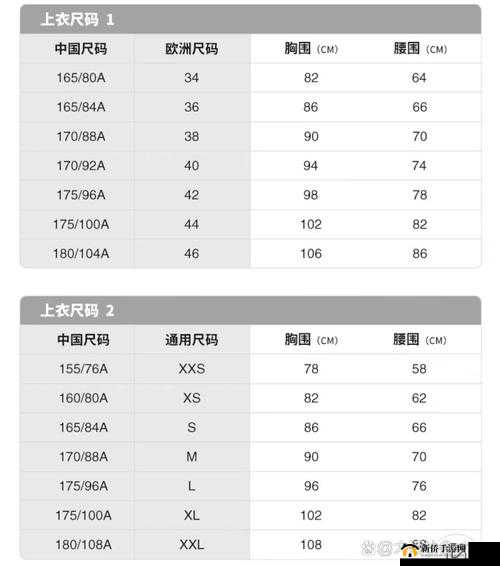 2022 年国产尺码和欧洲尺码表：清晰对比，轻松选码