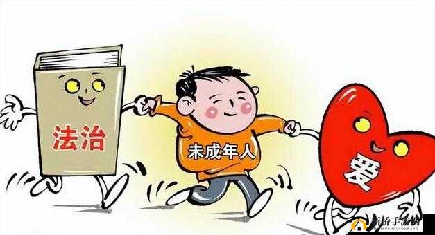 已满 8 岁未满十八岁的人群：未成年人的法律保护与教育引导