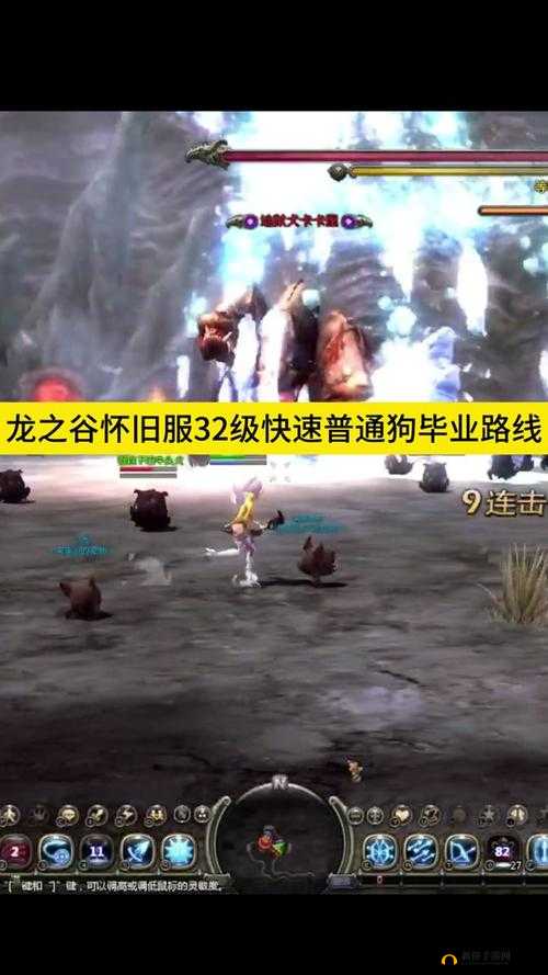 龙之谷手游，龙骨荒漠职业搭配优化及海龙第4关通关攻略深度剖析