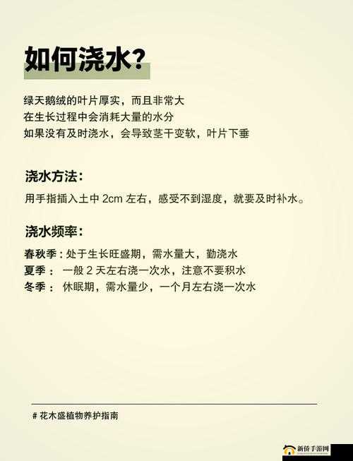 榨汁精灵的繁衍要求必须有充足的水果和适宜的温度湿度环境且需安静氛围