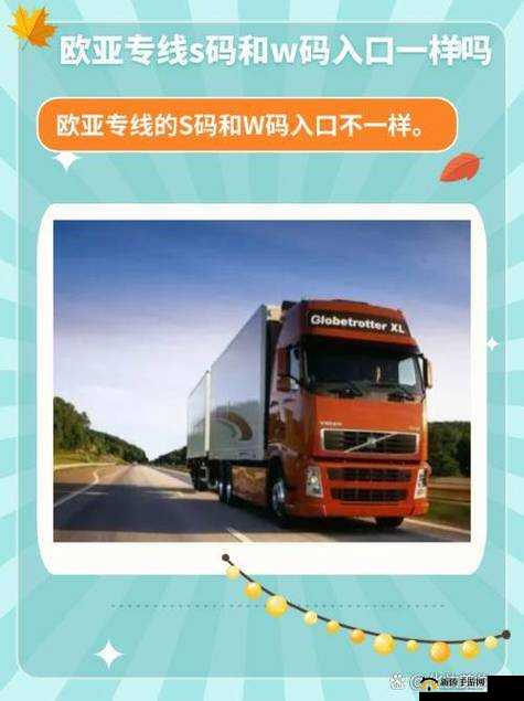 欧亚专线欧洲 W 码：深入解读其背后的意义与价值以及应用场景分析